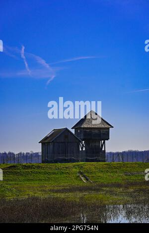 Vogelbeobachtungshaus in Lonjsko polje Stockfoto