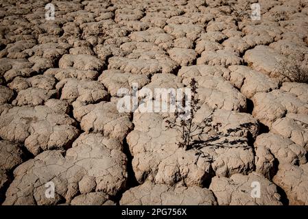 Das trockene Flussbett des Flusses Llobregat beim Eindringen in das Reservoir von La Baells in Cercs, Provinz Barcelona, Spanien. Die Wasserbeschränkungen in Katalonien wurden aufgrund der seit nunmehr 29 Monaten andauernden Dürre, die mit dem Klimawandel und der globalen Erwärmung zusammenhängt, weiter verschärft. Derzeit haben katalanische Reservoirs 27 Prozent ihrer Kapazität. Stockfoto