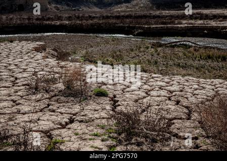 Das trockene Flussbett des Flusses Llobregat beim Eindringen in das Reservoir von La Baells in Cercs, Provinz Barcelona, Spanien. Die Wasserbeschränkungen in Katalonien wurden aufgrund der seit nunmehr 29 Monaten andauernden Dürre, die mit dem Klimawandel und der globalen Erwärmung zusammenhängt, weiter verschärft. Derzeit haben katalanische Reservoirs 27 Prozent ihrer Kapazität. Stockfoto