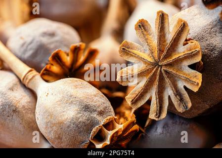 Makrofotografie vieler Mohnköpfe in einem Weidenkorb Stockfoto