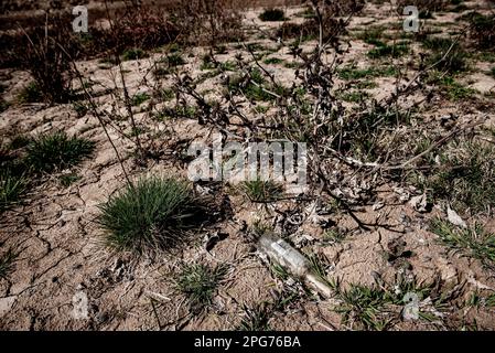 20. März 2023, Cercs, Barcelona, Spanien: Eine Flasche ist am trockenen Flussbett des Flusses Llobregat zu sehen, während Sie das Reservoir von La Baells in Cercs, Provinz Barcelona, Spanien betreten. Die Wasserbeschränkungen in Katalonien wurden aufgrund der seit nunmehr 29 Monaten andauernden Dürre, die mit dem Klimawandel und der globalen Erwärmung zusammenhängt, weiter verschärft. Derzeit haben katalanische Reservoirs 27 Prozent ihrer Kapazität. Kredit: Jordi Boixareu/Alamy Live News Stockfoto