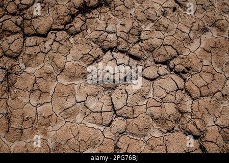 20. März 2023, Cercs, Barcelona, Spanien: Das trockene Flussbett des Flusses Llobregat beim Eindringen in das Reservoir von La Baells in Cercs, Provinz Barcelona, Spanien. Die Wasserbeschränkungen in Katalonien wurden aufgrund der seit nunmehr 29 Monaten andauernden Dürre, die mit dem Klimawandel und der globalen Erwärmung zusammenhängt, weiter verschärft. Derzeit haben katalanische Reservoirs 27 Prozent ihrer Kapazität. Kredit: Jordi Boixareu/Alamy Live News Stockfoto