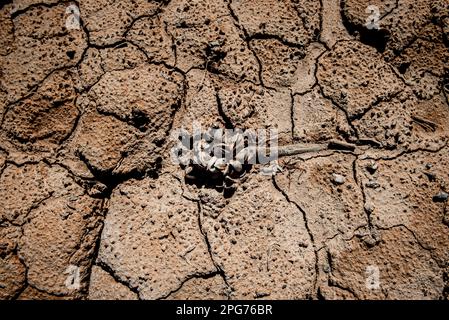 20. März 2023, Cercs, Barcelona, Spanien: Das trockene Flussbett des Flusses Llobregat beim Eindringen in das Reservoir von La Baells in Cercs, Provinz Barcelona, Spanien. Die Wasserbeschränkungen in Katalonien wurden aufgrund der seit nunmehr 29 Monaten andauernden Dürre, die mit dem Klimawandel und der globalen Erwärmung zusammenhängt, weiter verschärft. Derzeit haben katalanische Reservoirs 27 Prozent ihrer Kapazität. Kredit: Jordi Boixareu/Alamy Live News Stockfoto