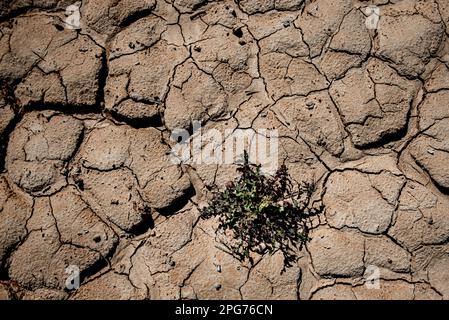 20. März 2023, Cercs, Barcelona, Spanien: Das trockene Flussbett des Flusses Llobregat beim Eindringen in das Reservoir von La Baells in Cercs, Provinz Barcelona, Spanien. Die Wasserbeschränkungen in Katalonien wurden aufgrund der seit nunmehr 29 Monaten andauernden Dürre, die mit dem Klimawandel und der globalen Erwärmung zusammenhängt, weiter verschärft. Derzeit haben katalanische Reservoirs 27 Prozent ihrer Kapazität. Kredit: Jordi Boixareu/Alamy Live News Stockfoto