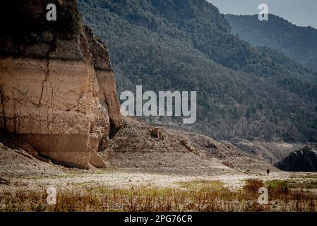 20. März 2023, Cercs, Barcelona, Spanien: Ein Mann wandert am trockenen Flussbett des Flusses Llobregat, während er das Reservoir von La Baells in Cercs, Provinz Barcelona, Spanien betritt. Die Wasserbeschränkungen in Katalonien wurden aufgrund der seit nunmehr 29 Monaten andauernden Dürre, die mit dem Klimawandel und der globalen Erwärmung zusammenhängt, weiter verschärft. Derzeit sind die katalanischen Reservoirs zu 27 Prozent ausgelastet. Kredit: Jordi Boixareu/Alamy Live News Stockfoto