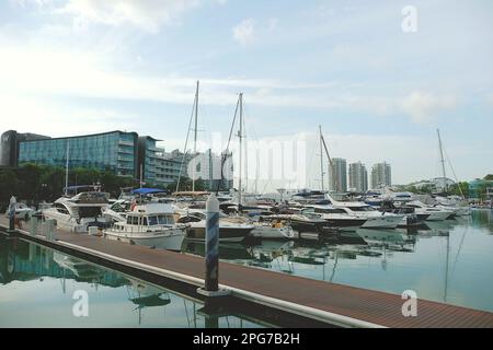 Yachten liegen am Yachthafen in Sentosa Cove, Sentosa Island, Singapur Stockfoto