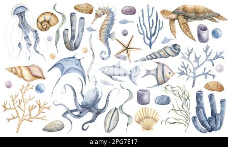 Big Undersea Set mit Seepferdchen, Quallen, Korallen und Schildkröten. Handgezeichnete Aquarelldarstellung von Algen und Unterwassertieren für Clipart auf isoliertem Hintergrund. Farbenfrohe Zeichnung mit Muscheln. Stockfoto