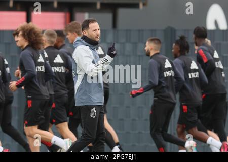 Tubize, Belgien. 21. März 2023. Der belgische Cheftrainer Domenico Tedesco zeigte sich während eines Trainings der belgischen Fußballnationalmannschaft Red Devils im RBFA-Hauptsitz der Royal Belgischen Fußballvereinigung in Tubize. Die Red Devils bereiten sich auf die bevorstehenden Spiele gegen Schweden und Deutschland vor. Kredit: Bruno Fahy/Belga Photo/Alamy Live News Stockfoto