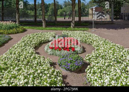 Sankt Petersburg, Pawlowsk, der Garten der Kaiserin Maria, Blumenbeet Stockfoto