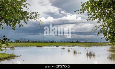 M'nong Farmer aus ethnischen Minderheiten waschen ihre Wasserbüffel in einem See in Bun Village, Lien Son, Vietnam. Stockfoto