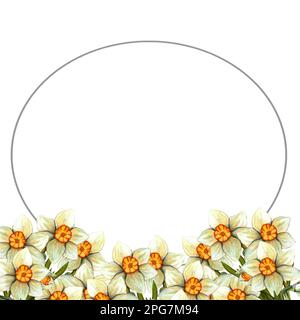 Aquarelle Rahmen ostern mit Narzissen. Darstellung mit Frühlingsblumen isoliert auf weißem Hintergrund. Stockfoto
