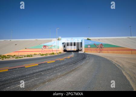 Bemalte Überführung auf der Straße. Es zeigt Kamelrennen mit Roboterjockey. Nahe Abu Dhabi, VAE, Vereinigte Arabische Emirate. Stockfoto