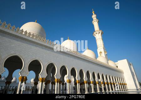 Blick auf den schattigen Wandportiko mit Säulen mit goldenen Palmenstämmen. In der Scheich-Zayid-Moschee in Abu Dhabi, Vereinigte Arabische Emirate, Stockfoto