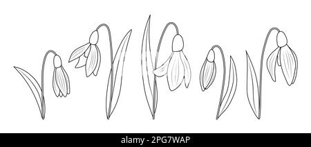 Schneeglöckensymbole isoliert auf weißem Hintergrund. Vektordarstellung Stock Vektor