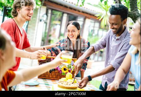 Junge Männer und Frauen, die auf dem Bauernhof gesunden Orangenfruchtsaft anstoßen pic nic - Life Style Freundschaftskonzept mit multikulturellen Freunden, die Spaß haben Stockfoto