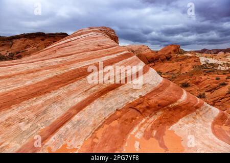 Las Vegas, USA - 8. November 2022: Fire Wave Rock Formation im Valley of Fire State Park in Nevada, USA. Stockfoto