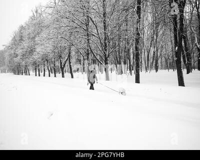 Moskau. Russland. 3. März 2023. Eine Frau geht mit ihrem Hund tagsüber während eines Schneefalls im Park spazieren. Schwarzweißfoto. Stockfoto
