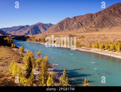 Der Fluss Katun fließt am Herbstnachmittag schnell im Altai-Gebirge zwischen den Felsen im Schatten. Stockfoto