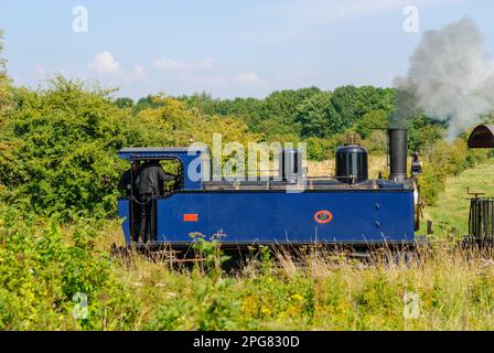 Dampfeisenbahn, Somme Bay Railway in Picardy Stockfoto