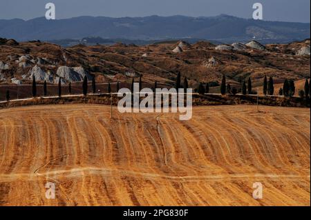 Bizarre „Mondlandschaft“ auf Kreta Senesi, südöstlich von Siena in der Toskana, Italien. Sanfte Hügel fruchtbarer Ackerland treffen auf grau-weiße Hügel aus Matronenlehm, die sich in der Pliozän-Epoche angesammelt haben und dann durch jahrelange Erosion zu Kegeln konischer Hügel geformt wurden, die meisten ohne Mutterboden oder Vegetation. Im Sommer sind die Felder von Streifen durchkreuzt, die bei der Weizenernte hinterlassen wurden. Stockfoto