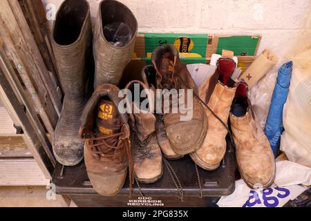 In Rory Youngs Werkstatt zu Hause in Cirencester. Stockfoto