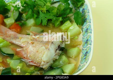 Rote Schnapper-Suppe mit bitterer Melone, Gurke und Chayote und verschiedenen Kräutern, serviert auf dem Teller. Im Studio erschossen. Stockfoto