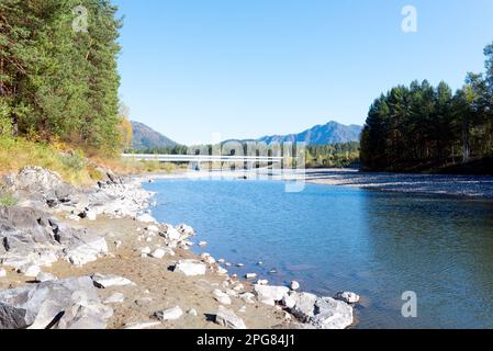 Ein ausgetrockneter Kanal des Flusses Katun mit einer Brücke über den Fluss an einem hellen Tag in Altai. Stockfoto