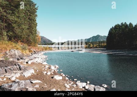 Ein ausgetrockneter Kanal des Flusses Katun mit einer Autobrücke über den Fluss an einem hellen Tag in Altai im Herbst in Sibirien. Stockfoto