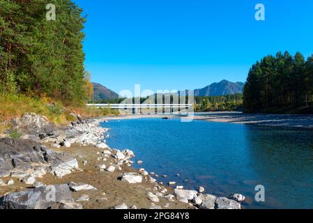 Ein ausgetrockneter Kanal des Flusses Katun mit einer Autobrücke über den Fluss an einem hellen Tag in Altai im Herbst in Russland. Stockfoto