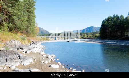 Ein ausgetrockneter Kanal des Flusses Katun mit einer Autobrücke über den Fluss an einem hellen Tag in Altai im Herbst. Stockfoto