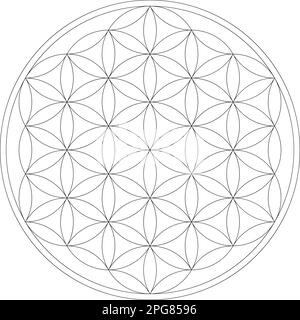 Geometrische Figur. Vektordarstellung der Blume des Lebens mit heiliger Geometrie Stock Vektor