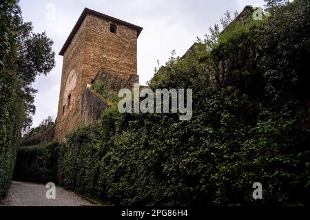 Boboli Gardens ein historischer Park in der Stadt Florenz, der 1766 für die Öffentlichkeit geöffnet wurde. Ursprünglich für die Medici entwickelt. Seltenes Freiland Stockfoto