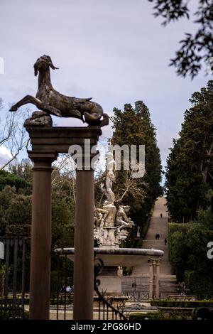 Boboli Gardens ein historischer Park in der Stadt Florenz, der 1766 für die Öffentlichkeit geöffnet wurde. Ursprünglich für die Medici entwickelt. Seltenes Freiland Stockfoto