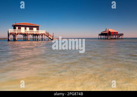 FRANKREICH. GIRONDE (33) BASSIN D'ARCACHON. ILE AUX OISEAUX (VOGELINSEL) HOLZHÜTTEN HOCH OBEN AUF STAPELN, DIE TYPISCH FÜR BASSIN D'ARCACHON SIND Stockfoto