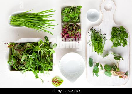 Verschiedene Arten von organischen Mikrogrünen Sprossen. Vegetarisches, sauberes und gesundes Esskonzept. Keimung von Saatgut zu Hause. Stockfoto