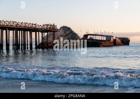 Nahaufnahme der SS Palo Alto, ein altes Schiffswrack aus dem Zweiten Weltkrieg bei Sonnenuntergang, vor der Küste von Aptos, in der Nähe von seacliff Beach, Californa Stockfoto