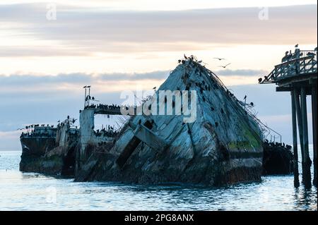 Nahaufnahme der SS Palo Alto, ein altes Schiffswrack aus dem Zweiten Weltkrieg bei Sonnenuntergang, vor der Küste von Aptos, in der Nähe von seacliff Beach, Californa Stockfoto