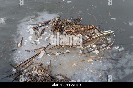 Im Frühjahr schmelzen Eisstücke mit einer Menge schädlicher Umweltabfälle im Fluss Stockfoto