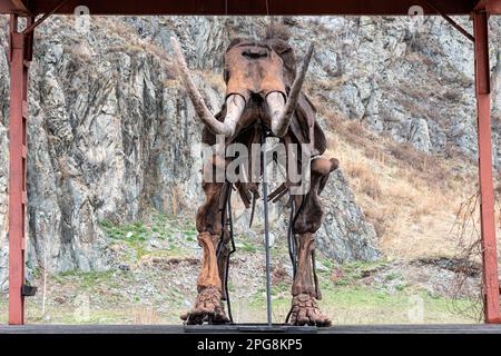 Ein uraltes Skelett eines prähistorischen Tieres steht vor dem Hintergrund von Natur und Bergen. Stockfoto