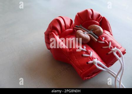 Nierenmodell auf roten Boxhandschuhen mit Kopierraum. Das Konzept der Bekämpfung von Nierenerkrankungen Stockfoto