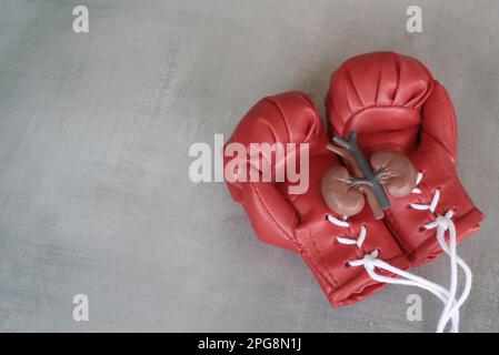 Nierenmodell auf roten Boxhandschuhen mit Kopierraum. Das Konzept der Bekämpfung von Nierenerkrankungen Stockfoto