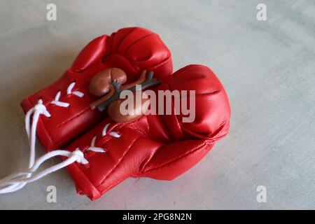 Nierenmodell auf roten Boxhandschuhen mit Kopierraum. Das Konzept der Bekämpfung von Nierenerkrankungen Stockfoto