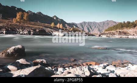 Die Steine liegen am Sandufer des Bergflusses Katun mit der Oroktoy-Brücke zwischen den Felsen im Altai in Sibirien während des Tages. Stockfoto