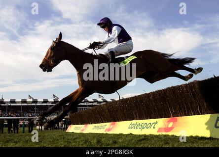 Ein Dateifoto vom 18.-03-2005 von Jockey Barry Geraghty gibt den letzten Schuss von Kicking King frei, um die totale Cheltenham Gold Cup Steeplechase zu gewinnen. Cheltenham Gold Cup und der Doppelheld King George Kicking King sind im Alter von 25 Jahren gestorben, hat der Irish National Stud bekannt gegeben. Ausgabedatum: Dienstag, 21. März 2023. Stockfoto