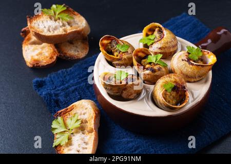 Escargots backte französische Schnecken mit Knoblauchbutter auf schwarzem Schieferstein mit Kopierbereich Stockfoto