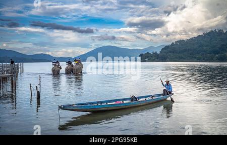 Ein Mann der ethnischen Minderheit von M'nong führt sein Kanu in der Dämmerung an die Küste, während vietnamesische Touristen auf drei Elefanten im Lak Lake, Lien Son, Vietnam reiten. Stockfoto