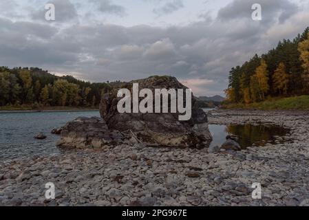 Ein großer Stein liegt an einer Steinküste mit einem Wald unter den Wolken über einem Berg in der Nähe des Katun-Flusses in Altai in Sibirien im Herbst. Stockfoto