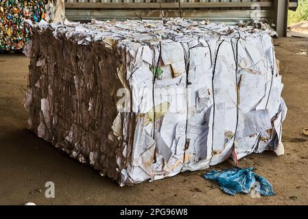 Gepresstes Recyclingpapier auf dem Boden in der Abfallverarbeitungsanlage Stockfoto