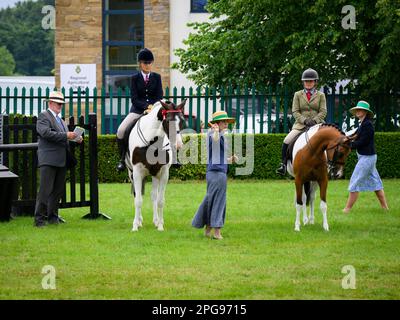 Wettkämpfe bei Pferdesportveranstaltungen und Frauen (mit Hosen und Hüten), die von Richtern und Beamten warten – Great Yorkshire Show, Harrogate England, Großbritannien. Stockfoto