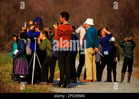 Eine Gruppe von Kindern und Erwachsenen beobachten Vögel im Jamaica Bay Wildlife Refuge in New York City Stockfoto